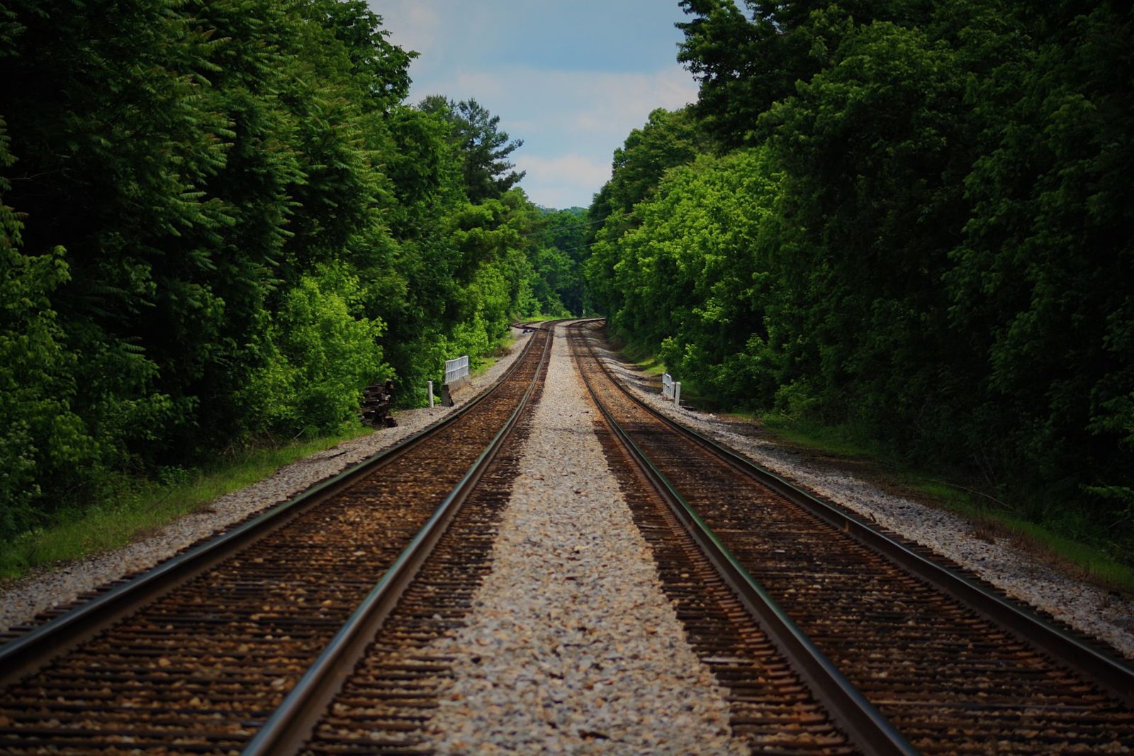 A rail line running through a wooded corridor