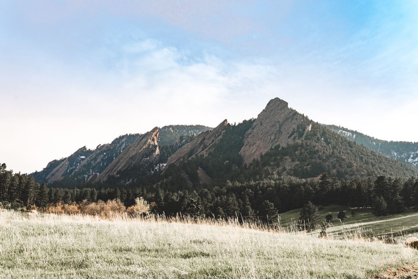 The Flatirons rising above open grassland at the edge of Boulder