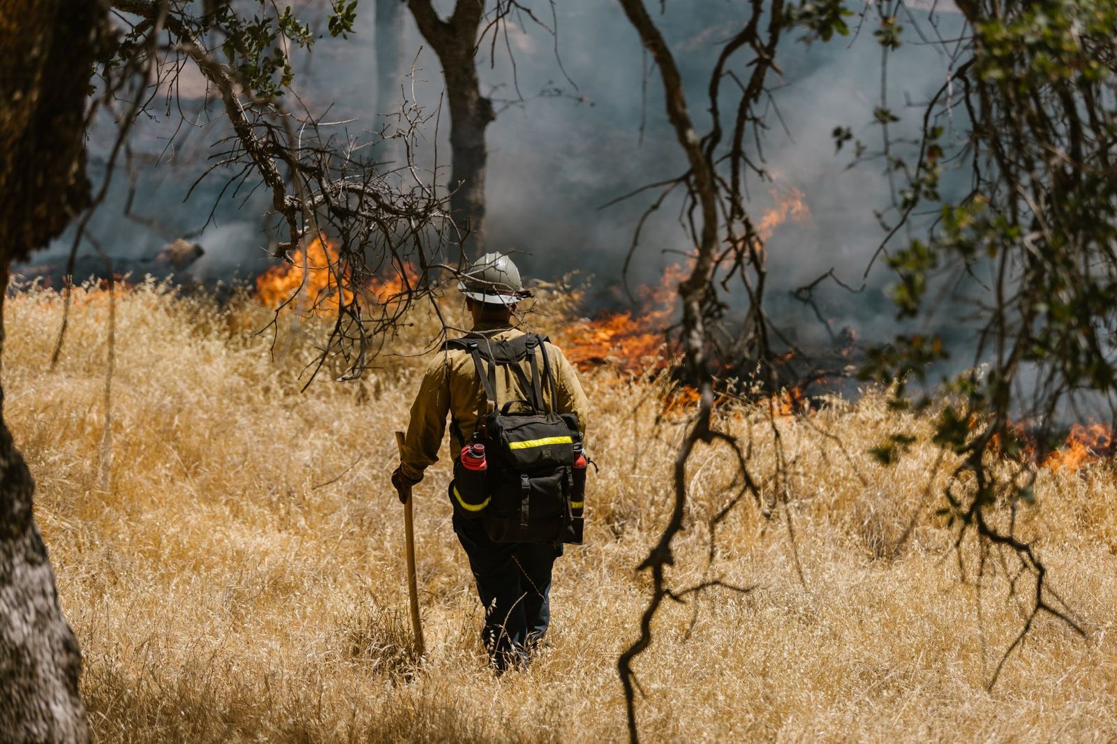 A wildland firefighter walking through a smoky grass fire