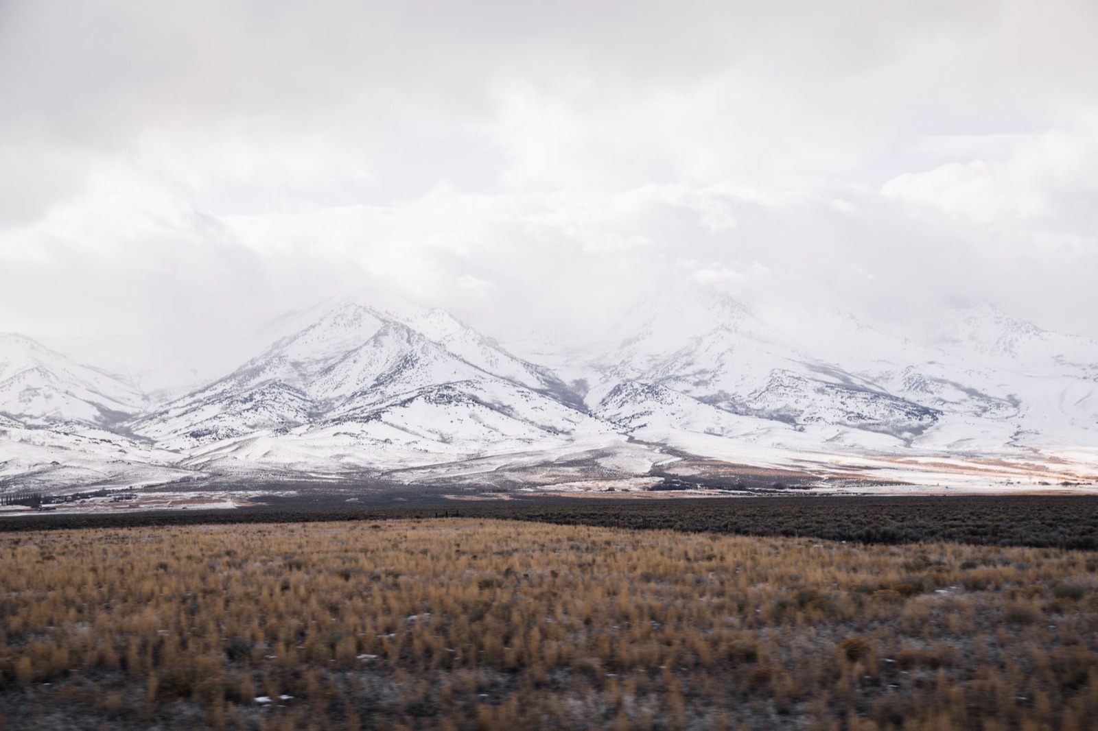 Fresh snow on high desert mountains above a grassy valley floor