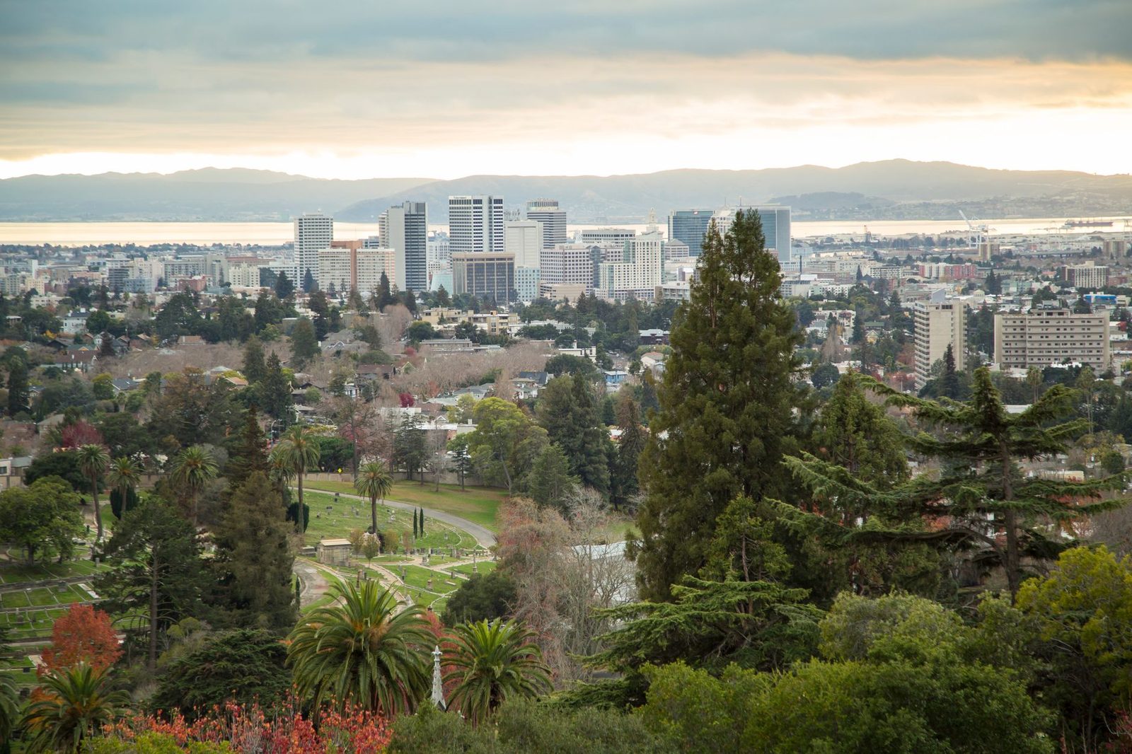 The San Francisco Bay Area seen from the East Bay hills