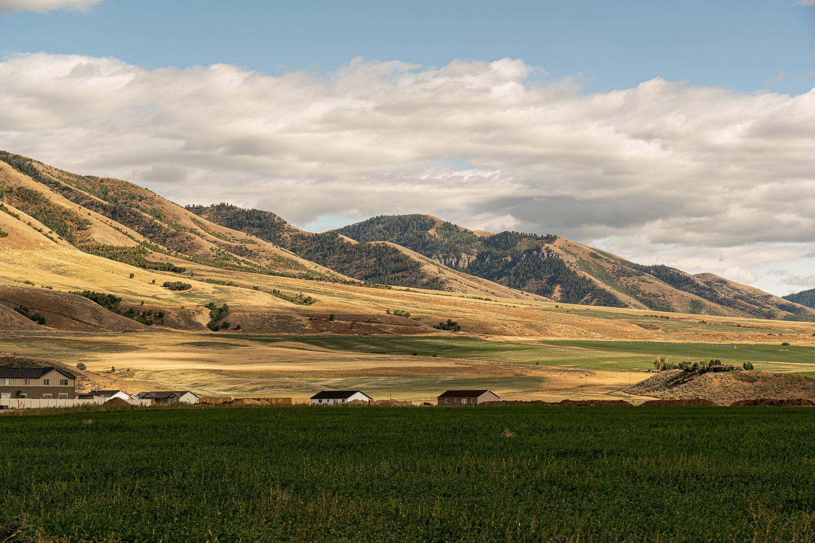 Green farm fields below rolling mountains under summer clouds
