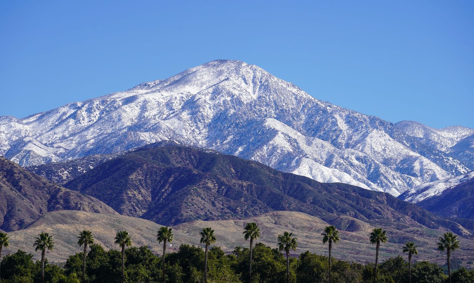 Snow-capped mountains above palm trees on a clear winter day